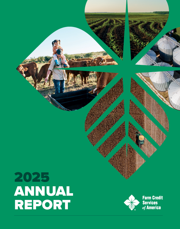2025 annual report cover with the biostar
