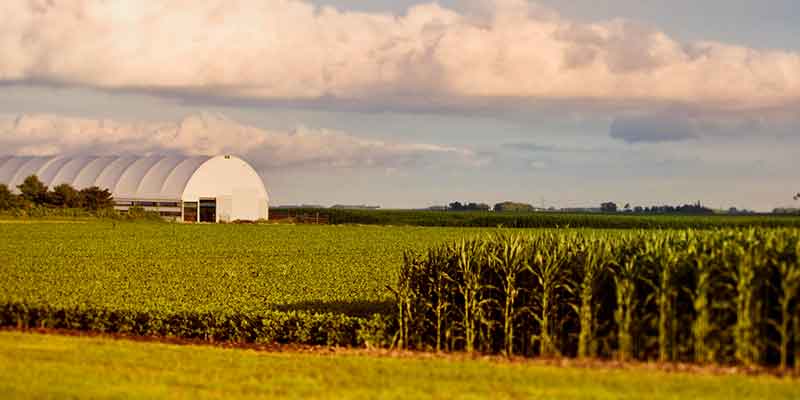 Corn-vs-Soybeans-Determining-Profitability-in-2023-min