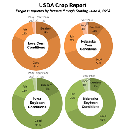 corn and soybean conditions
