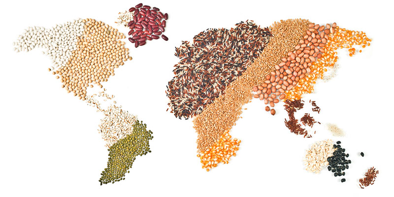 World Map in Grains