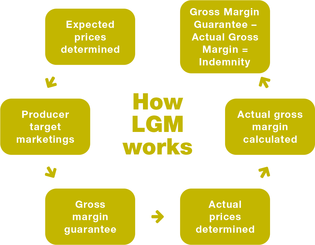 How does LGM work